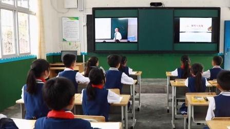 视频课堂,深度解析课程要点