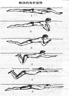游泳的正确姿势视频,跟随视频学标准泳姿