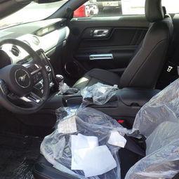 野马视频试驾视频播放,驾驭激情,感受速度与激情的碰撞