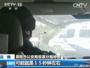 昆明暴徒被击毙视频,正义之剑守护安宁