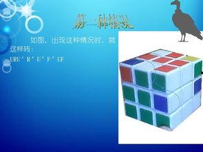 阶视频,阶视频深度解析