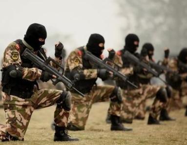 中国特种部队视频,英勇无畏，锐不可挡